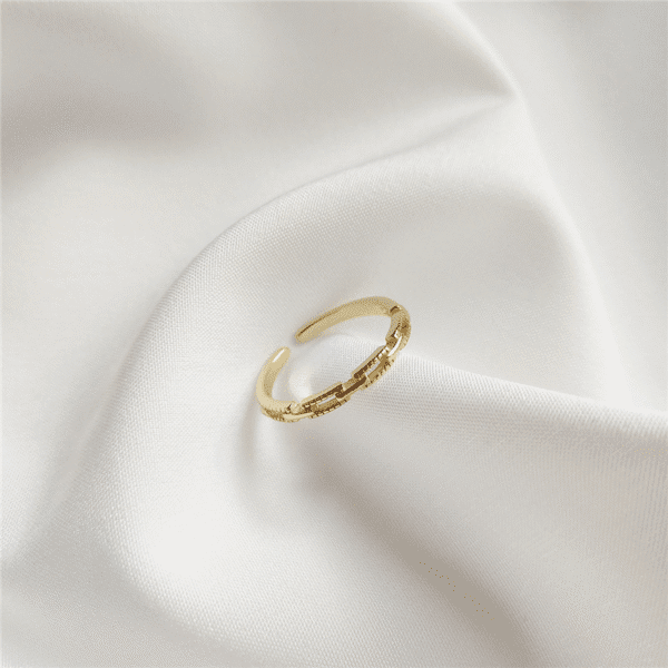 Alternative view of Chain Buckle Ring