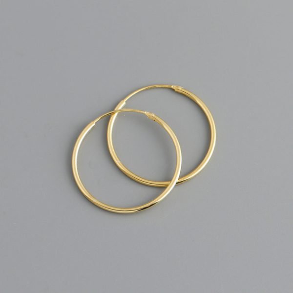 Korean Simple Hoop Earrings