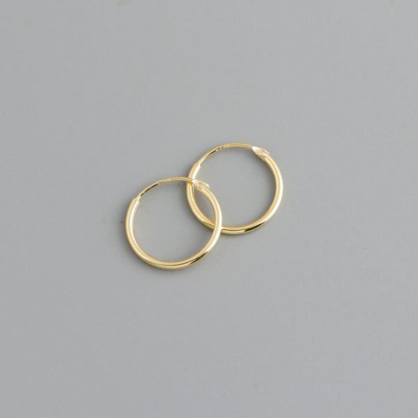 Korean Simple Hoop Earrings