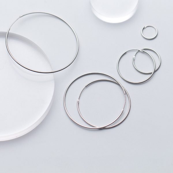 Alternative view of Circle Hoop Earrings